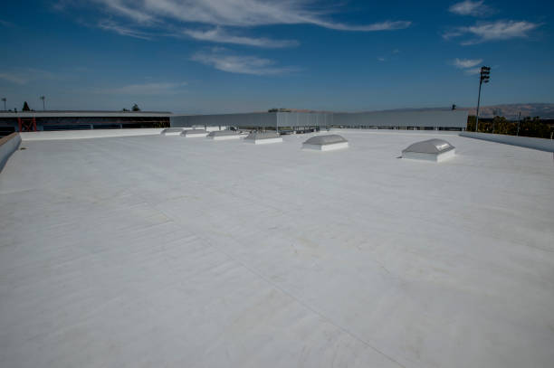 Best Roof Replacement  in Wrightwood, CA