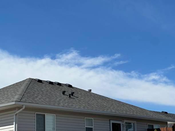Best Chimney Flashing Repair  in Wrightwood, CA